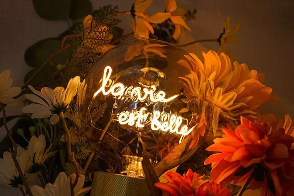 ELEMENTS LIGHTING Ampoules Message^Ampoule La Vie Est Belle / H 17 Cm