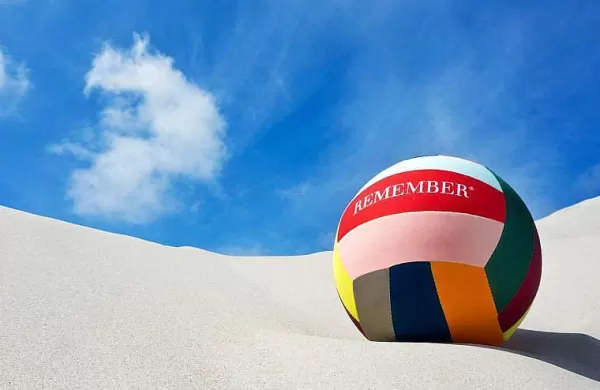 REMEMBER Jeux & Fun^Ballon De Volley-Ball