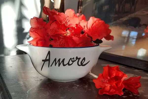 PIED DE POULE Mugs & Tasses^Bol Breton - Amore