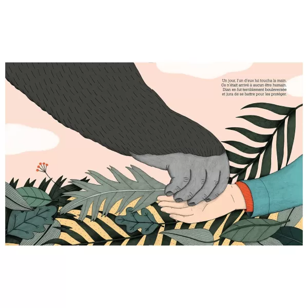 ELCY Livres Enfants^Petite & Grande Livre - Dian Fossey