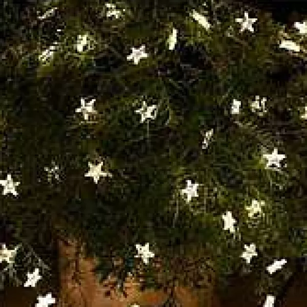 SIRIUS Luminaires^ Guirlande Lumineuse 40 Leds Star Fil Argent