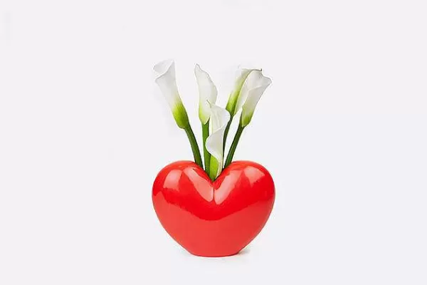 DOIY (MANTA) Vases / Petits Objects Déco^Vase Coeur